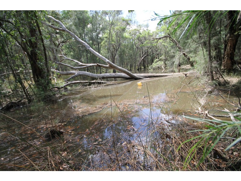 649 Parker Road, Lanitza NSW 2460