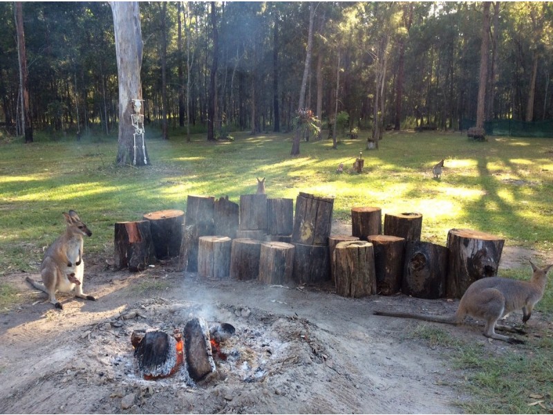 189 Loughmans Lane, Shark Creek NSW 2463