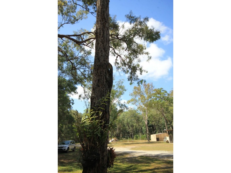 189 Loughmans Lane, Shark Creek NSW 2463