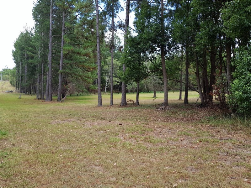 35 Sanders Road, Whiteman Creek NSW 2460