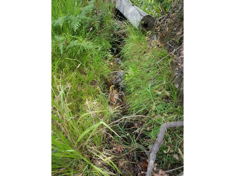 35 Sanders Road, Whiteman Creek NSW 2460