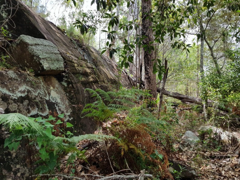 35 Sanders Road, Whiteman Creek NSW 2460