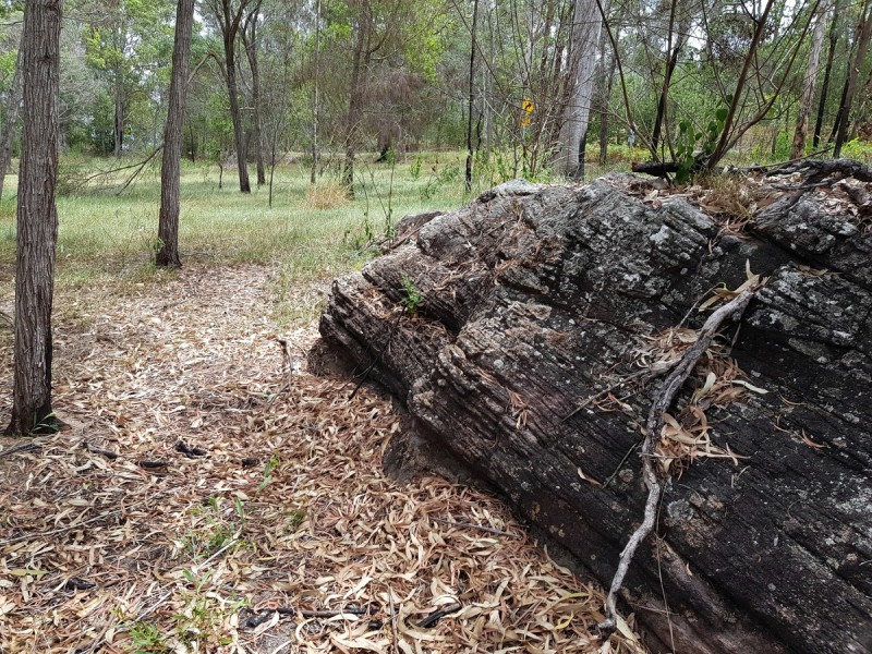 35 Sanders Road, Whiteman Creek NSW 2460