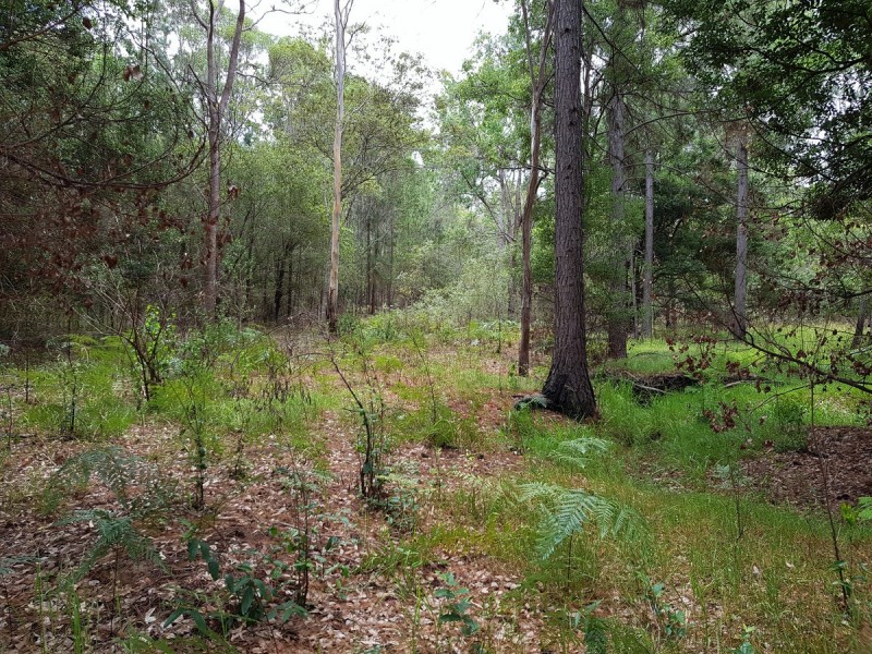 35 Sanders Road, Whiteman Creek NSW 2460