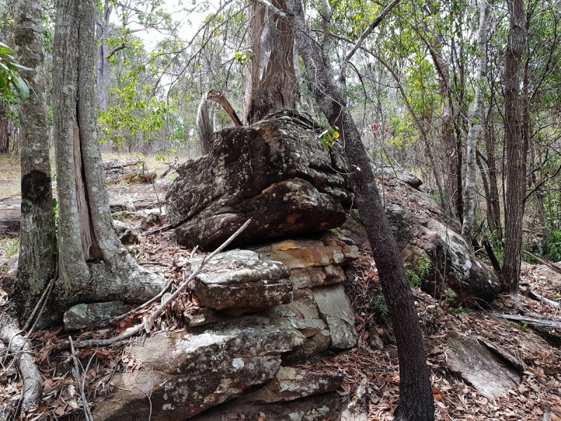 35 Sanders Road, Whiteman Creek NSW 2460