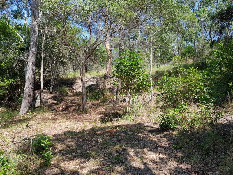 35 Sanders Road, Whiteman Creek NSW 2460