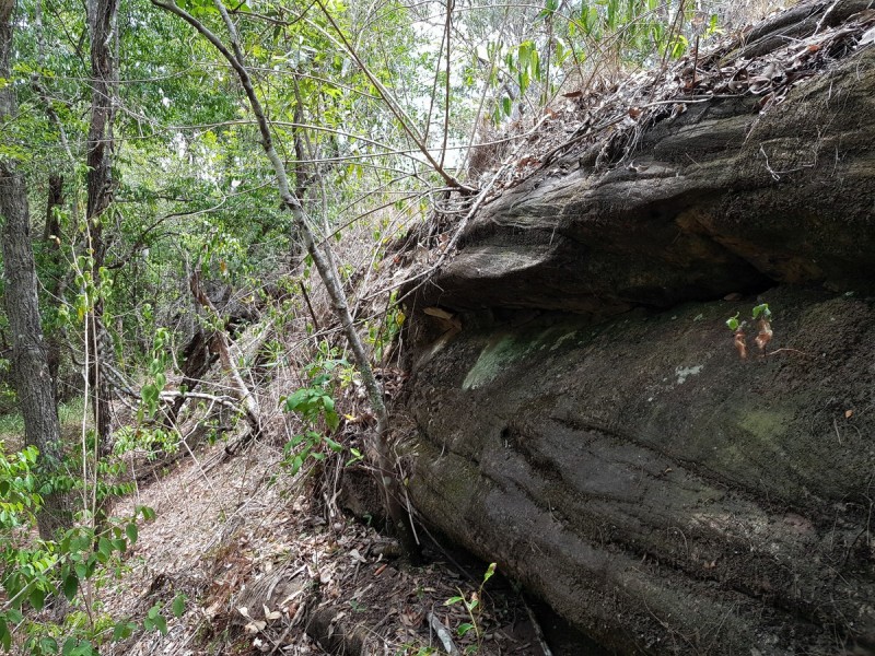 35 Sanders Road, Whiteman Creek NSW 2460