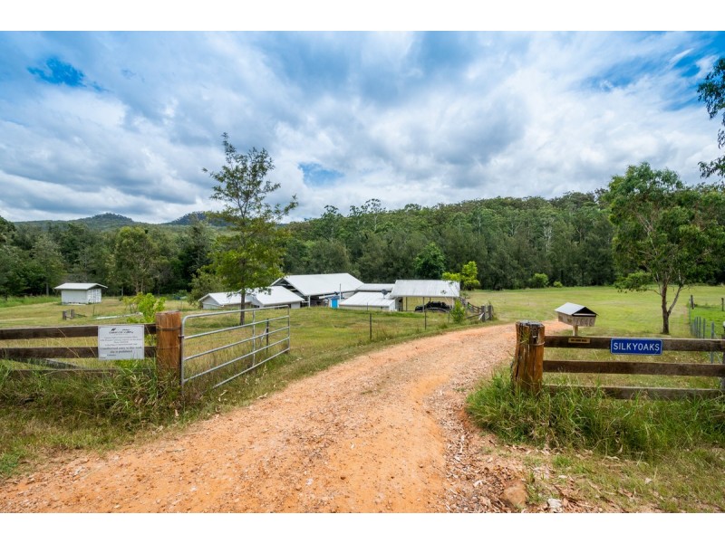 2646 Armidale Road, Blaxlands Creek NSW 2460