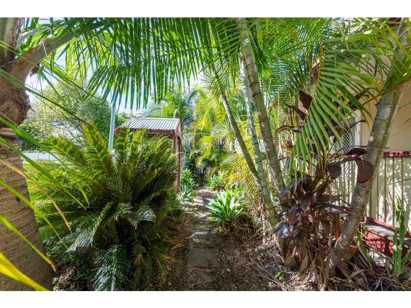 147 Oliver Street, Grafton NSW 2460