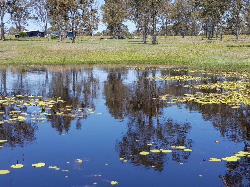 2766 Summerland Way, Dilkoon NSW 2460