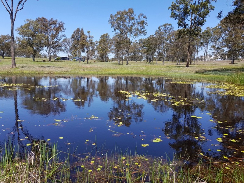 2766 Summerland Way, Dilkoon NSW 2460