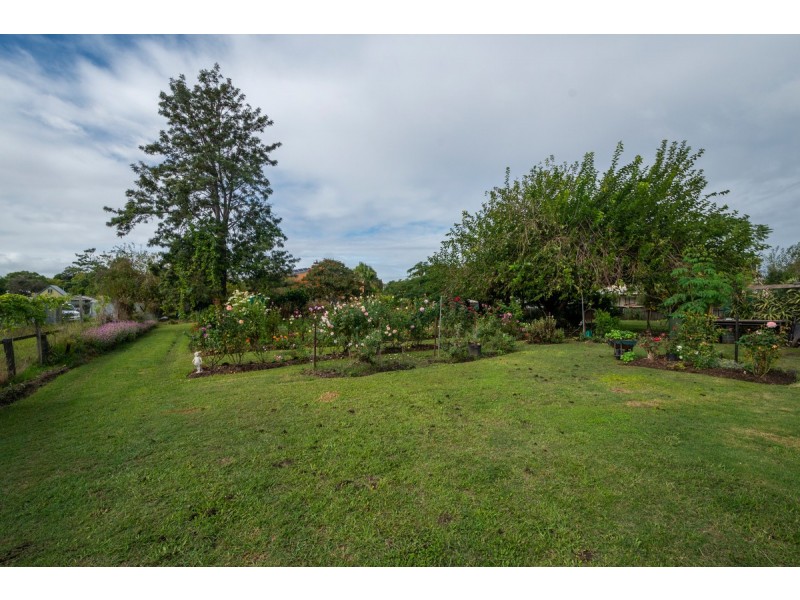 6 Maud Street, Grafton NSW 2460