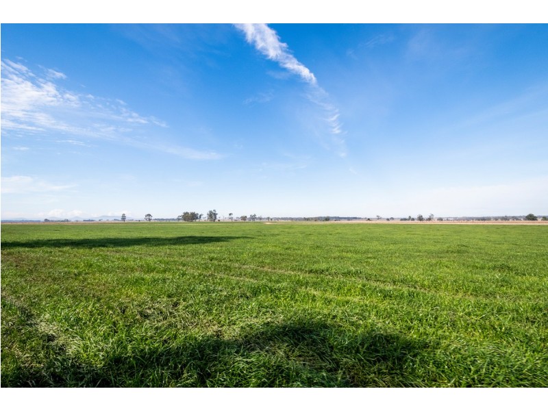 264 Finlaysons Lane, Ulmarra NSW 2462