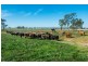 264 Finlaysons Lane, Ulmarra NSW 2462