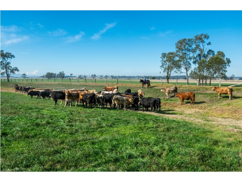 264 Finlaysons Lane, Ulmarra NSW 2462