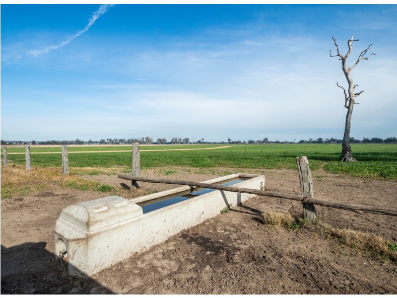 264 Finlaysons Lane, Ulmarra NSW 2462