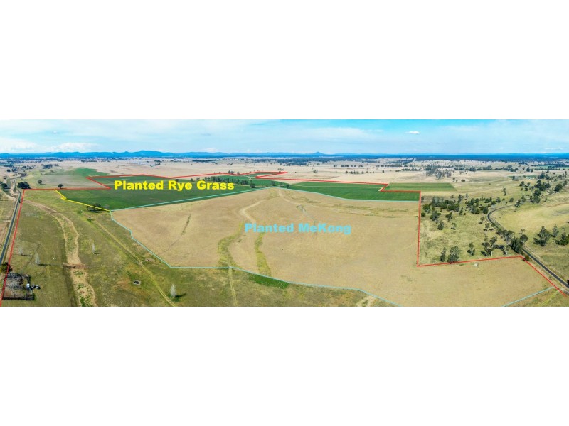 264 Finlaysons Lane, Ulmarra NSW 2462