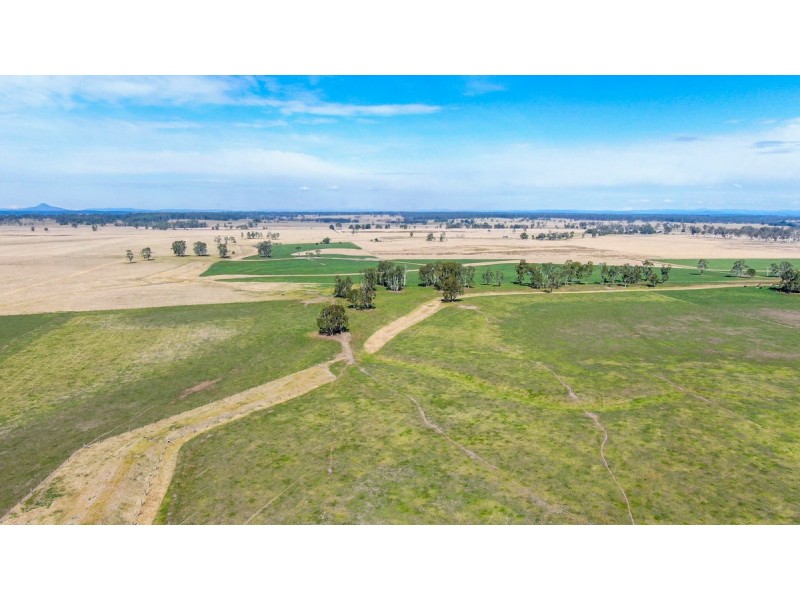 264 Finlaysons Lane, Ulmarra NSW 2462