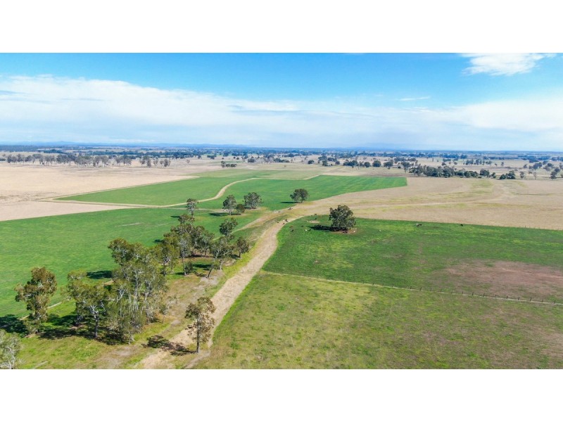 264 Finlaysons Lane, Ulmarra NSW 2462