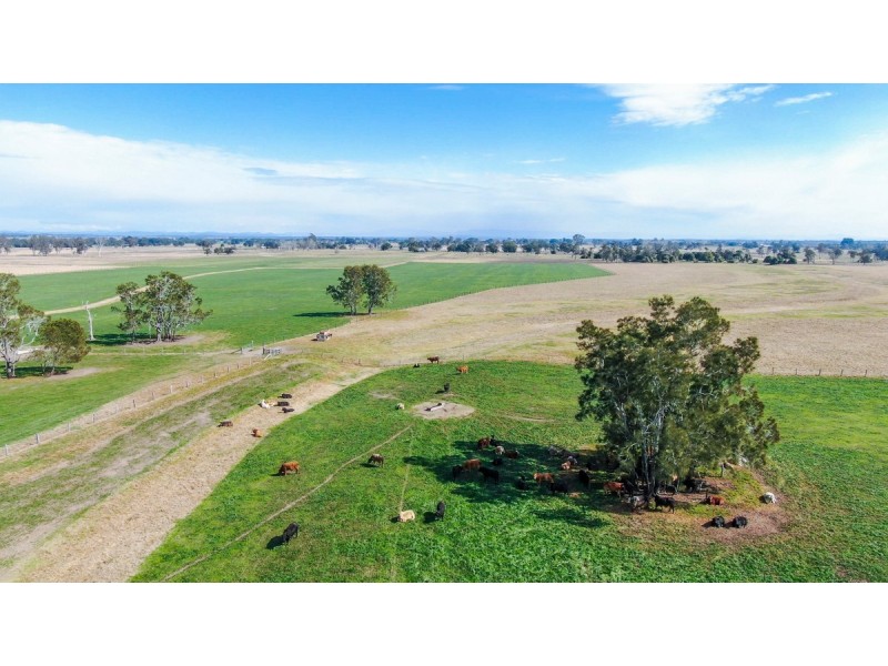 264 Finlaysons Lane, Ulmarra NSW 2462