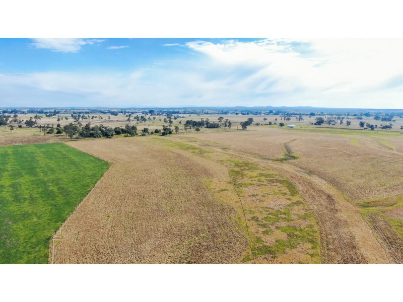 264 Finlaysons Lane, Ulmarra NSW 2462