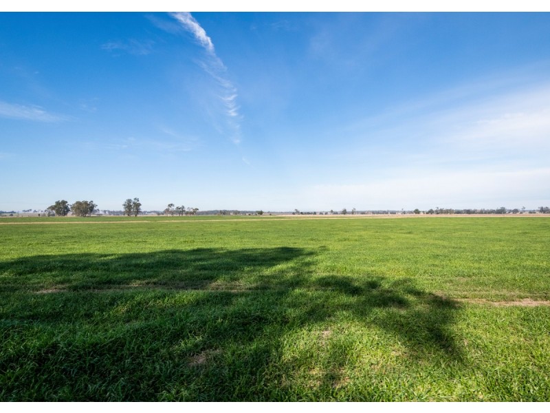 264 Finlaysons Lane, Ulmarra NSW 2462