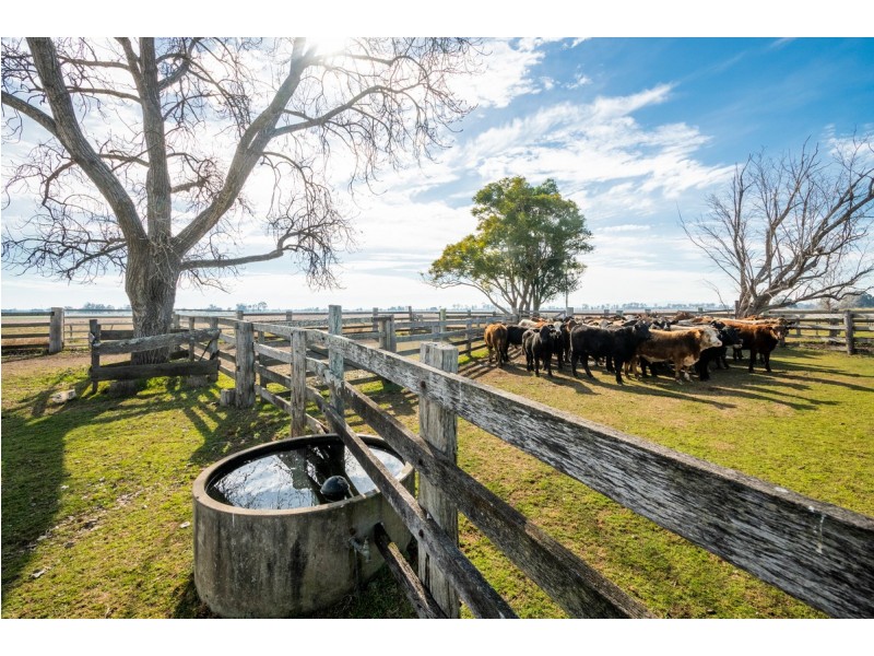 264 Finlaysons Lane, Ulmarra NSW 2462