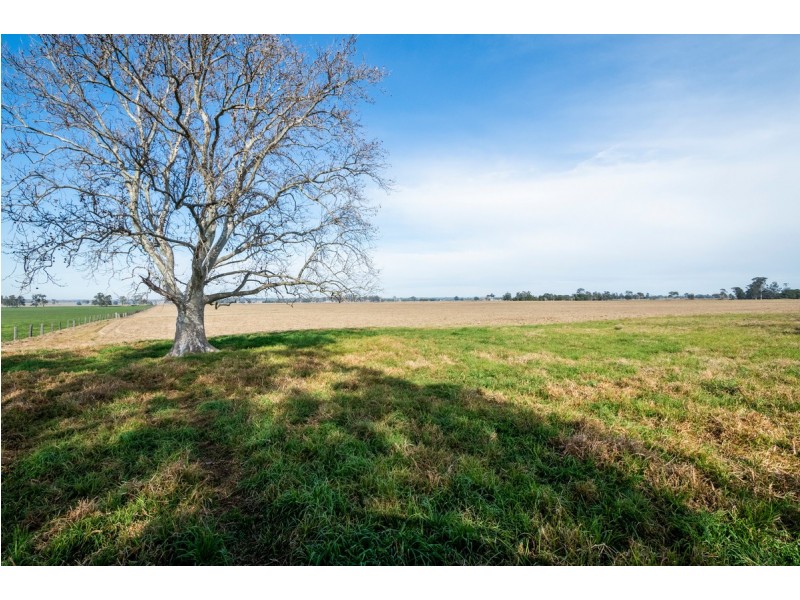 264 Finlaysons Lane, Ulmarra NSW 2462