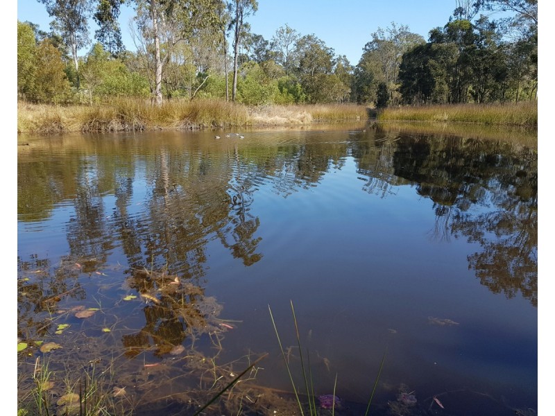 2122. Summerland Way, Warragai Creek NSW 2460