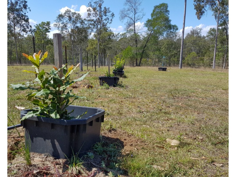 332 Whiteman Creek Road, Mylneford NSW 2460