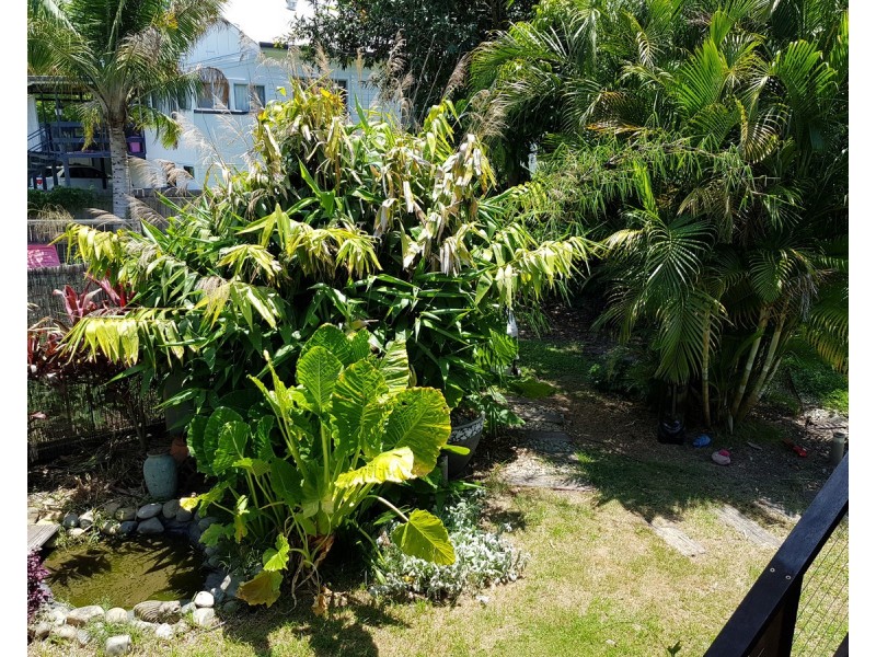 89 Bacon Street, Grafton NSW 2460