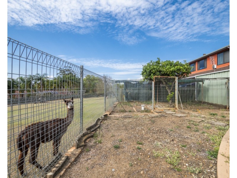 12 Figtree Avenue, Junction Hill NSW 2460