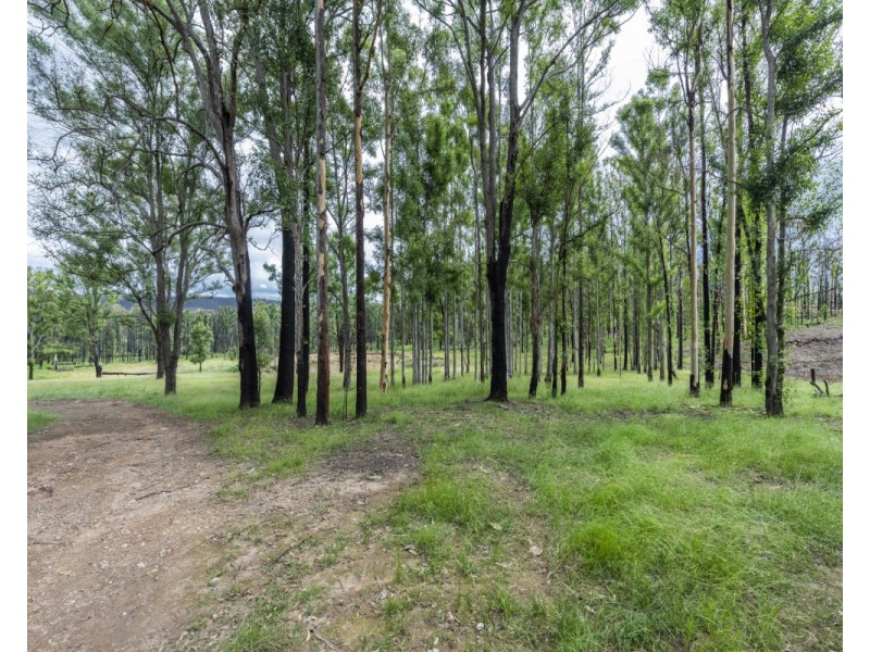 140 Martin Road, Nymboida NSW 2460