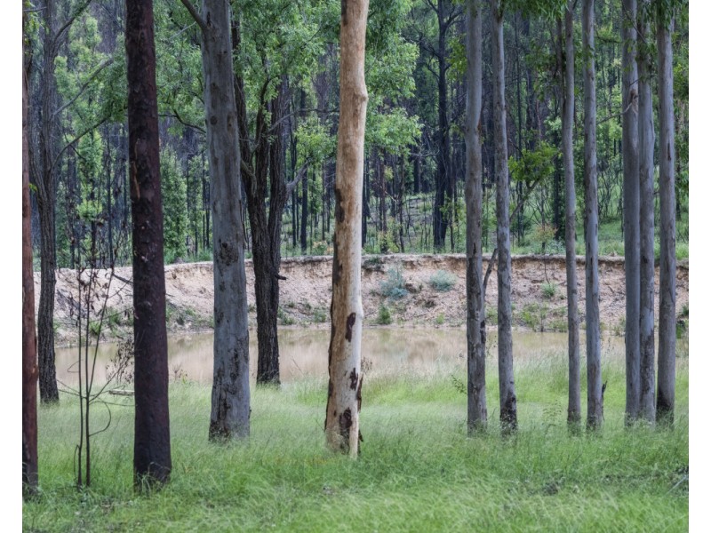 140 Martin Road, Nymboida NSW 2460