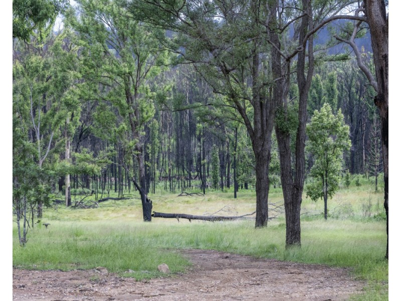 140 Martin Road, Nymboida NSW 2460