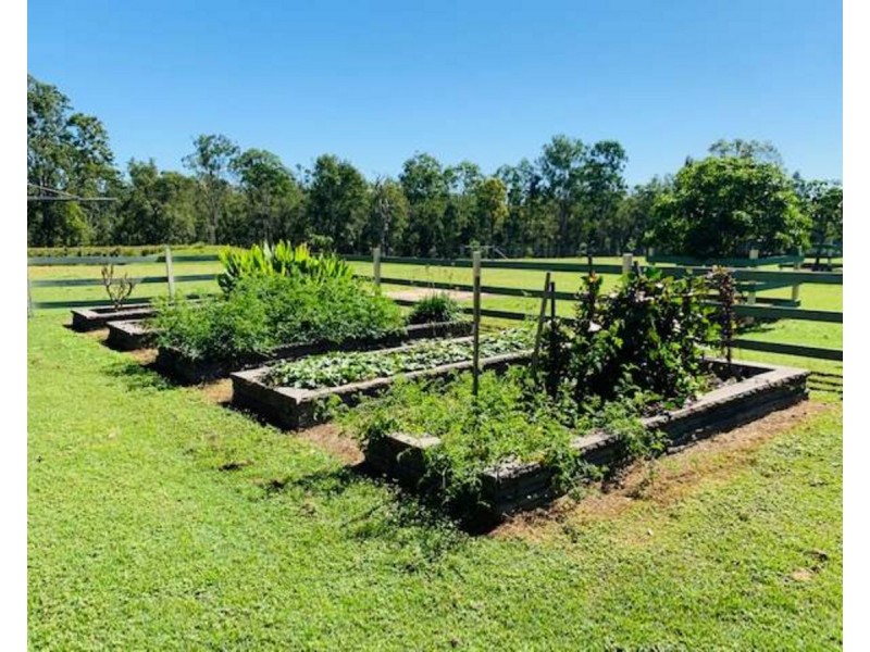 1094 Rogan Bridge Road, The Whiteman NSW 2460