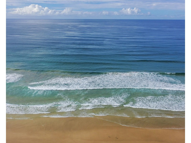 25 Sandon Road, Minnie Water NSW 2462