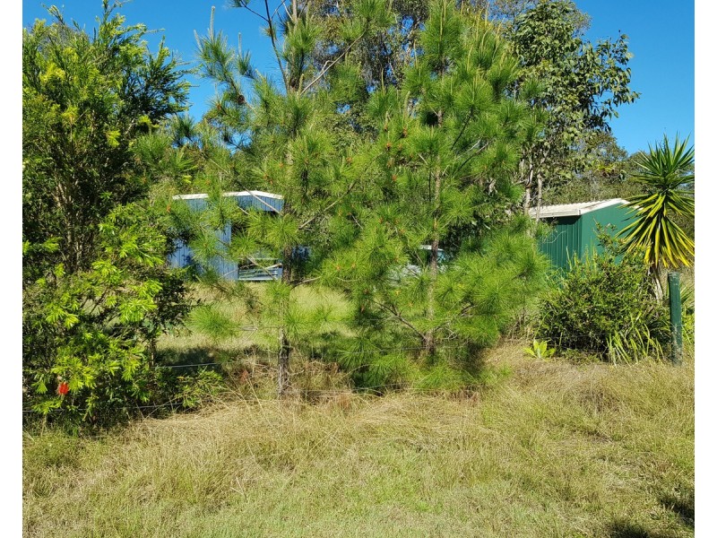 41 Clarence Street, Tucabia NSW 2462