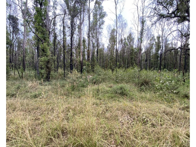 Lot 512,  Old Tenterfield Road, Camira NSW 2469