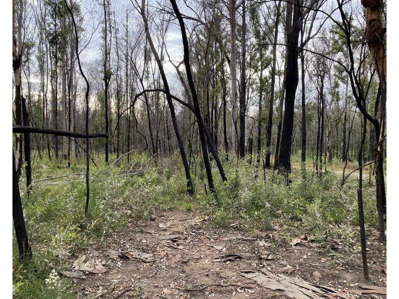 Lot 512,  Old Tenterfield Road, Camira NSW 2469