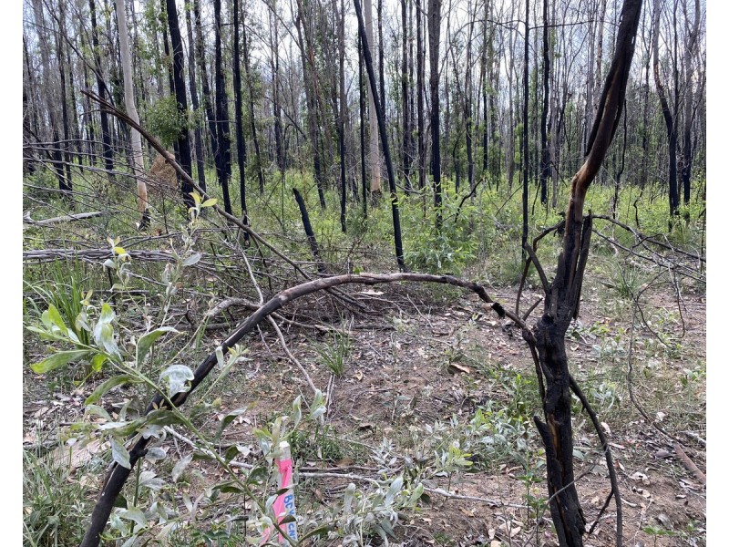 Lot 512,  Old Tenterfield Road, Camira NSW 2469