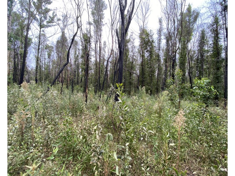 Lot 512,  Old Tenterfield Road, Camira NSW 2469