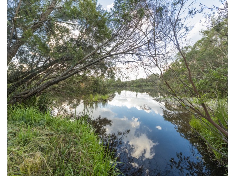 3838 Armidale Road, Nymboida NSW 2460