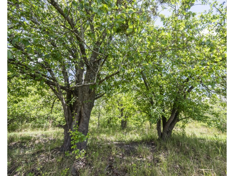 193 Dinjerra Road, Glenugie NSW 2460