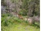 Lot 50 & 61, 3239 Armidale Road, Blaxlands Creek NSW 2460