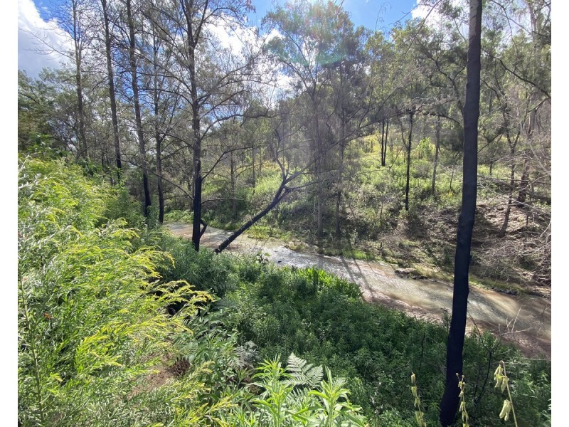 Lot 50 & 61, 3239 Armidale Road, Blaxlands Creek NSW 2460