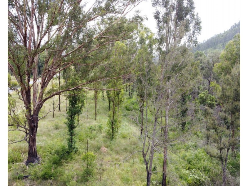 Lot 50 & 61, 3239 Armidale Road, Blaxlands Creek NSW 2460