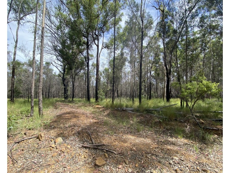 Lot 50 & 61, 3239 Armidale Road, Blaxlands Creek NSW 2460