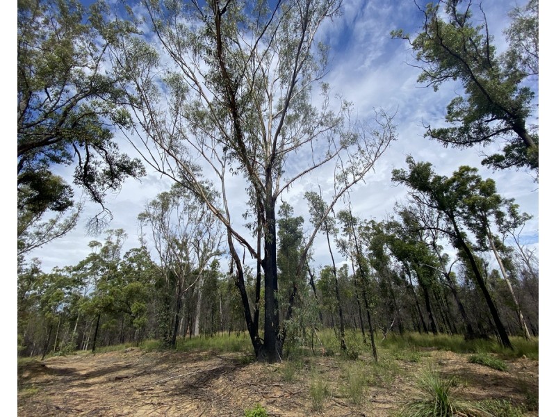 Lot 50 & 61, 3239 Armidale Road, Blaxlands Creek NSW 2460