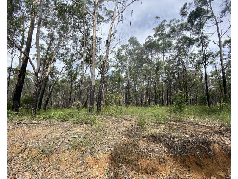 Lot 50 & 61, 3239 Armidale Road, Blaxlands Creek NSW 2460